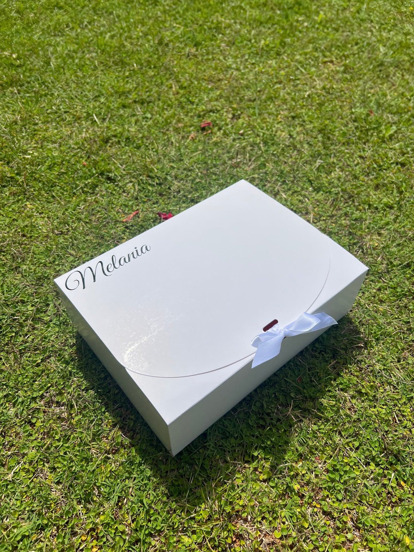 Box Regalo