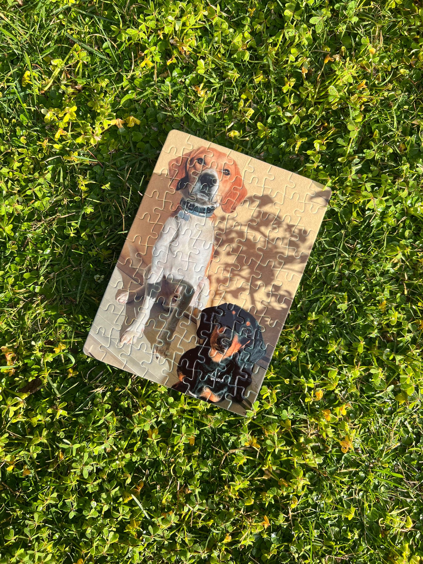 Puzzle - 80 pezzi personalizzato