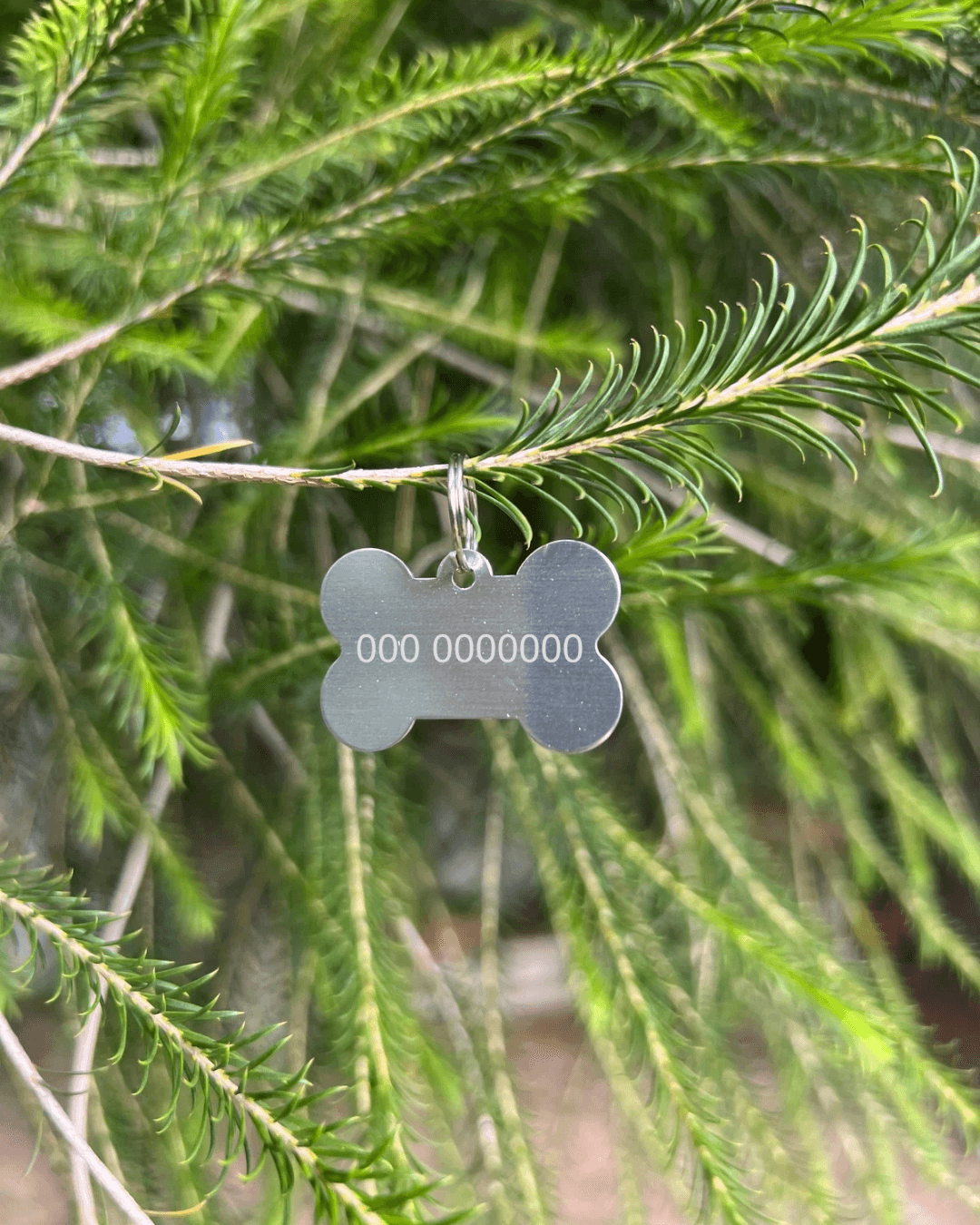 Targhetta per animali personalizzata