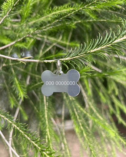Targhetta per animali personalizzata